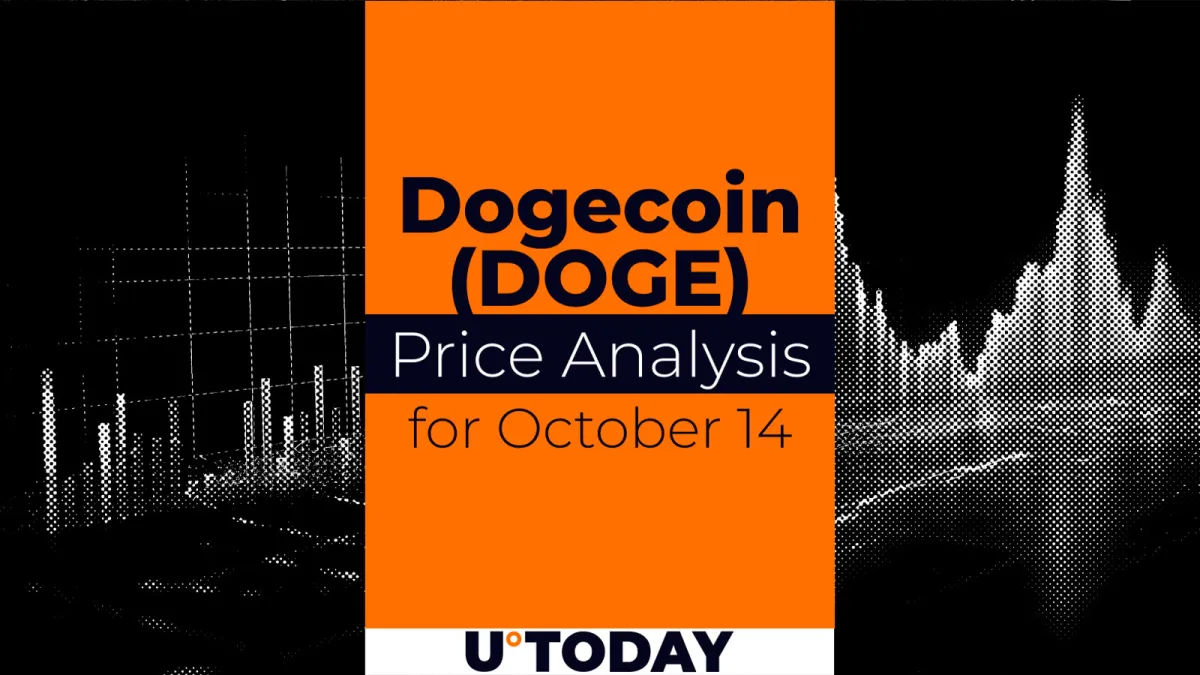 DOGE Price Analysis for October 14