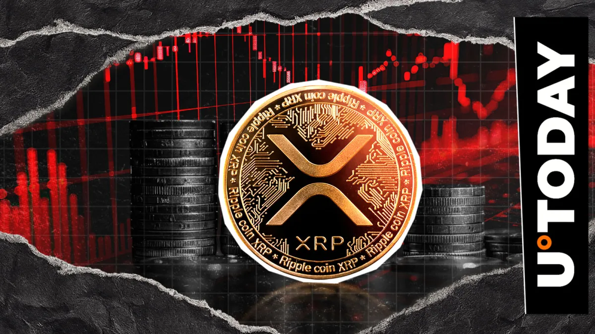 XRP Price Bloodbath: 1,000% Liquidation Imbalance Stuns Bears in Brutal Short Squeeze