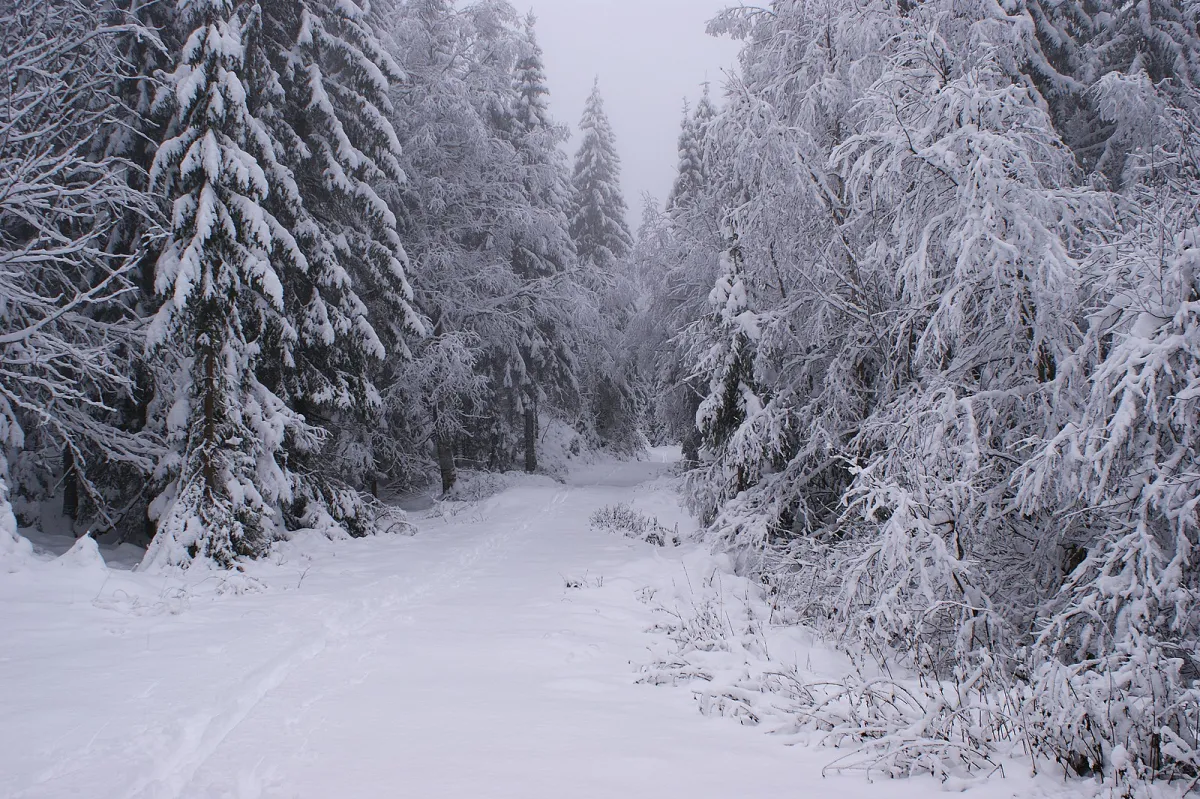 Will This Crypto Winter Be Different? Top Analyst Explains