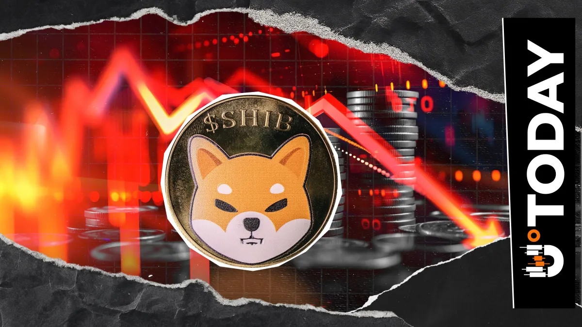 Shiba Inu (SHIB) in Critical Condition: Worst State Since January 2024