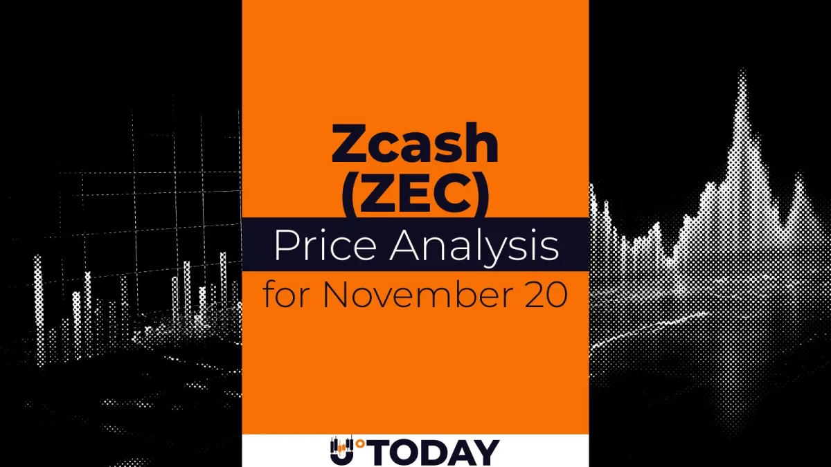 Zcash (ZEC) Price Analysis for November 20