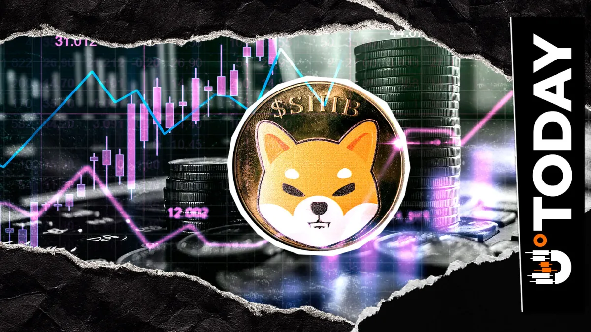 Shiba Inu's Teased Surprise Finally Arrives, What Is It?