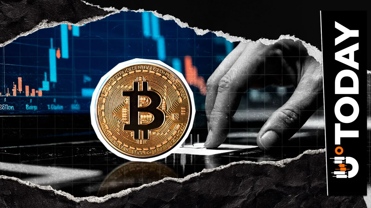 No, Interest in Bitcoin Is Not Dead, New Data Hints