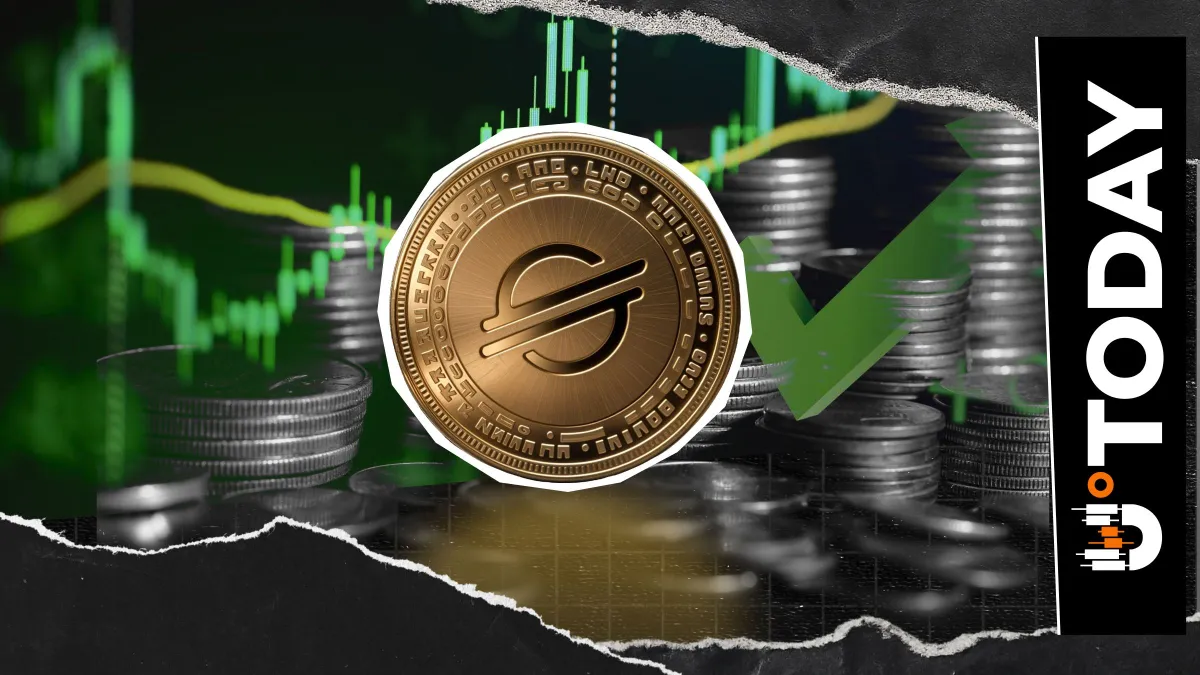 Stellar CEO Reveals Where Real Opportunity Lies in Crypto Market: Details