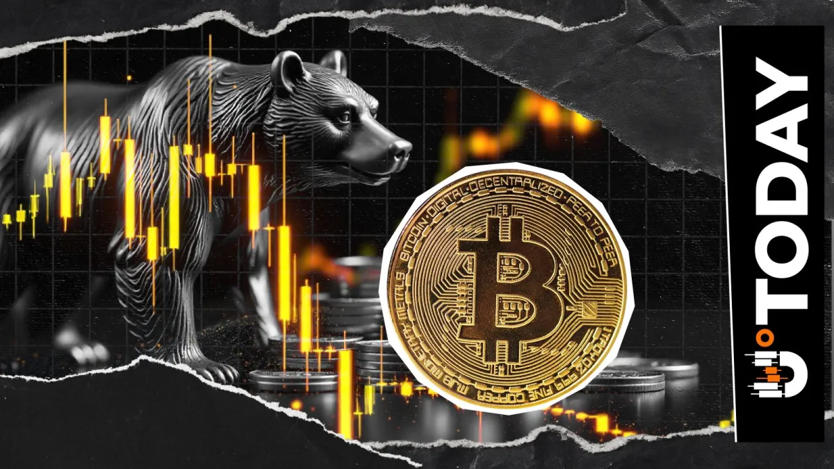 Two Key Reasons Bitcoin Enters Bear Markets: Wall Street Veteran