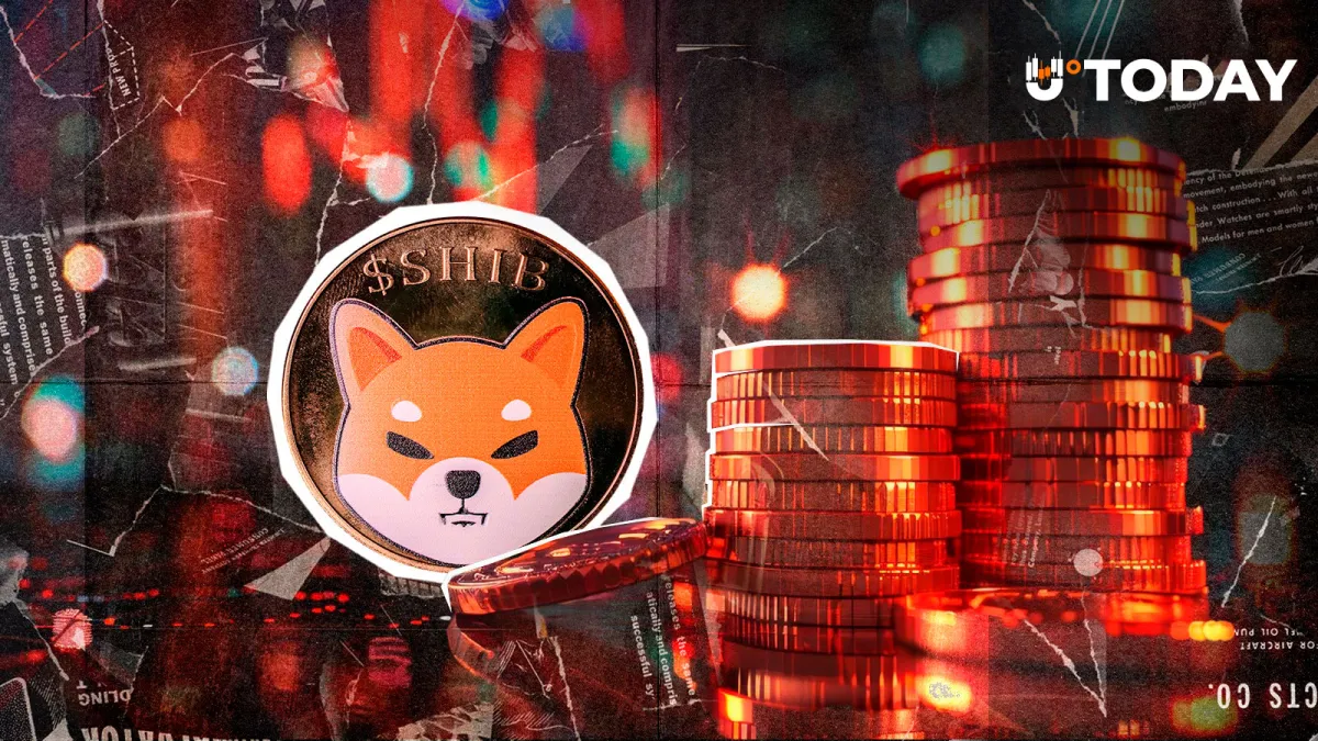 Shiba Inu (SHIB): Nothing to Lose Now