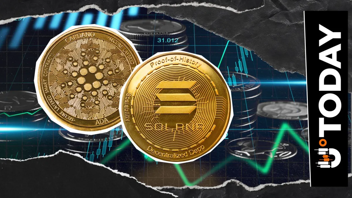 'Time to Get Cooking': Cardano and Solana Founders Tease Cross-Chain Bridge