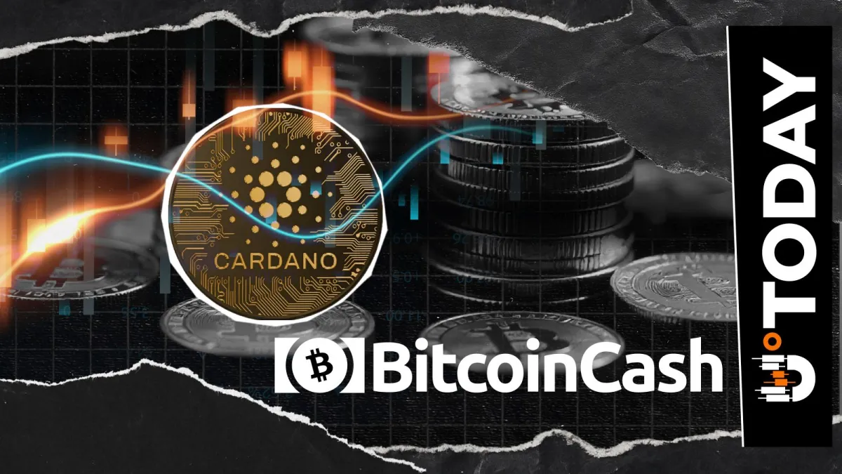 Cardano vs. Bitcoin Cash: Ultimate Dominance Fight Is On