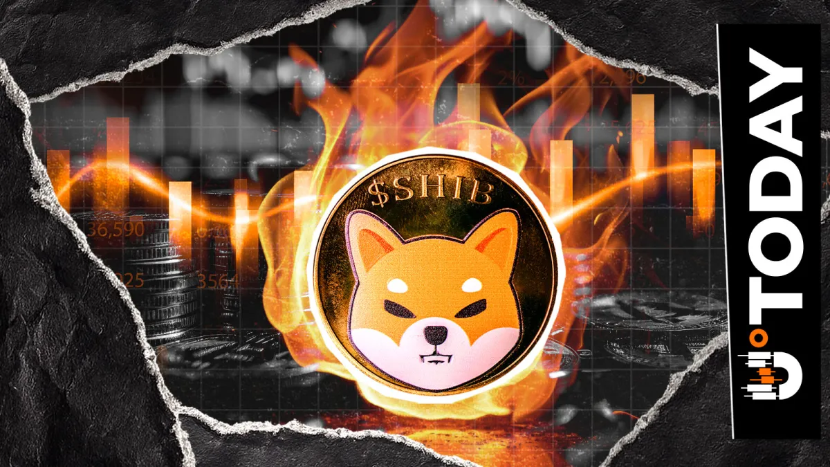 34,397,753 SHIB Burned as Burn Rate Jumps 274%: Details