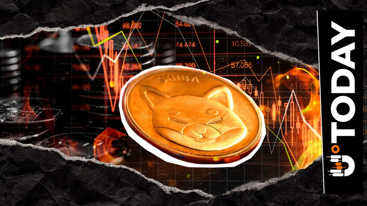 SHIB Burn Collapses 88.07% Ahead of Crucial December Update: Details