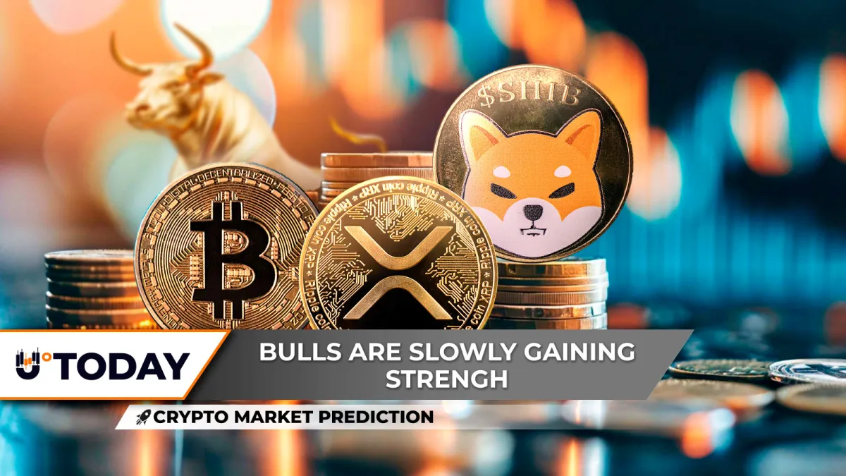 Crypto Market Prediction: No Bitcoin, $100,000 Next Time, Is Shiba Inu (SHIB) Wearing Bull Horns Again? XRP Becoming Dominant