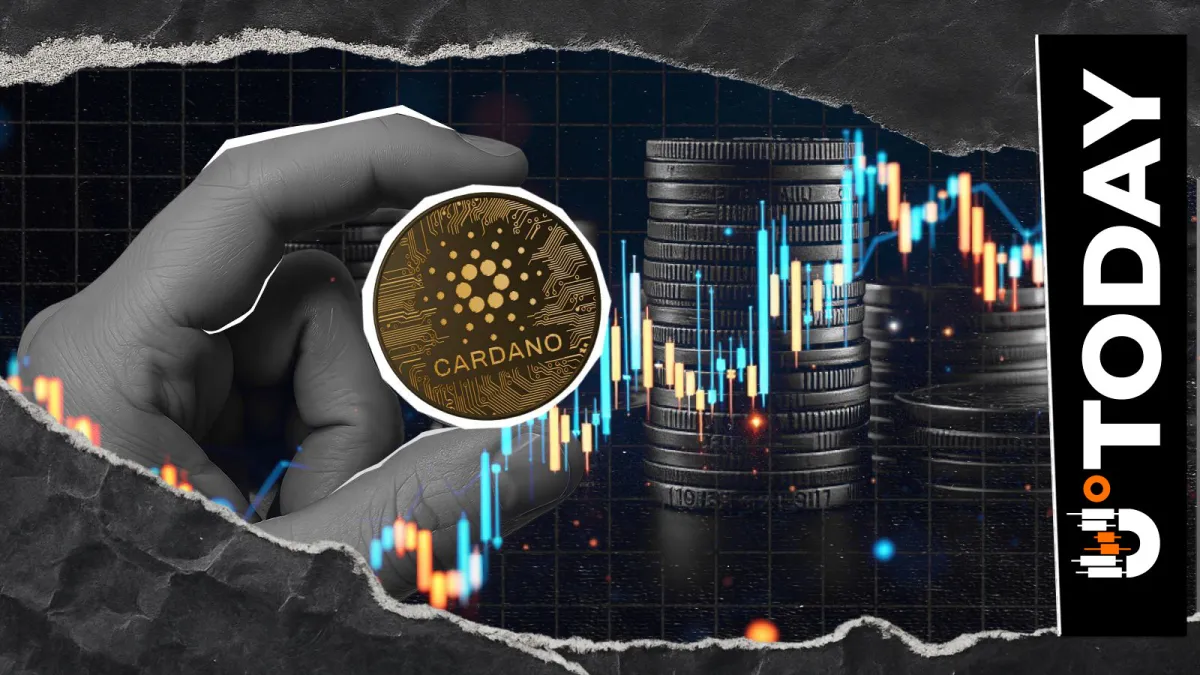 'Beyond Single-Chain Paradigm': Cardano Lays Out Interchain Vision