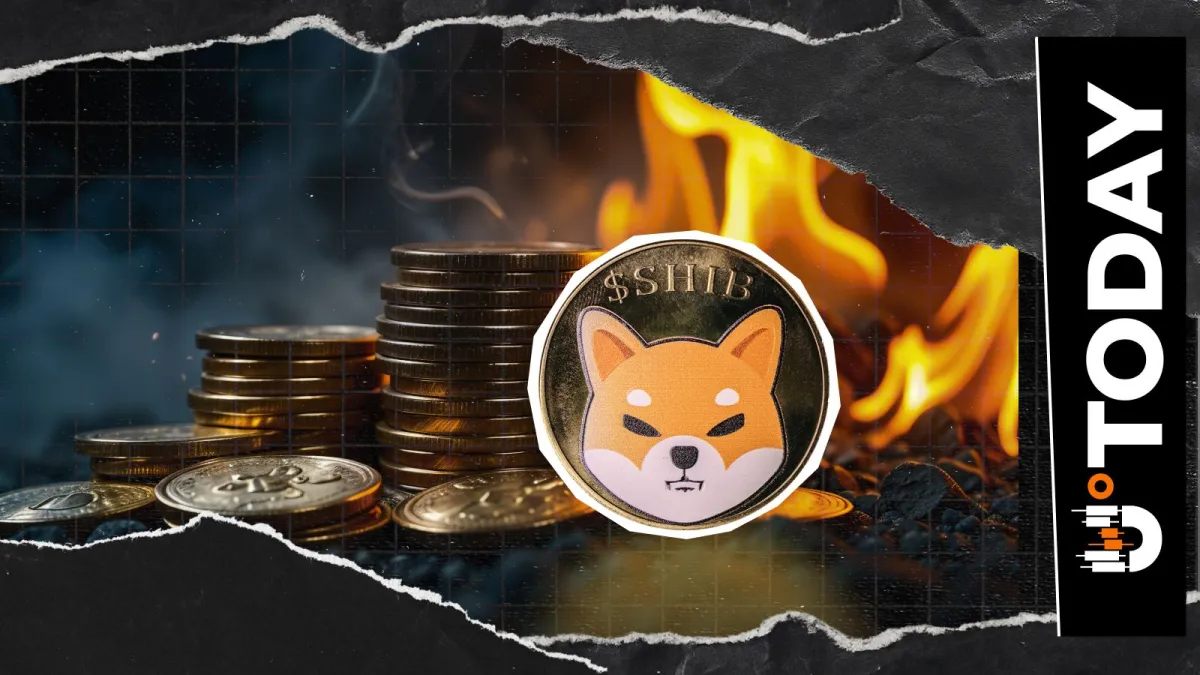 Less Than One Shiba Inu (SHIB) Burned: This Is Why It's Ridiculous
