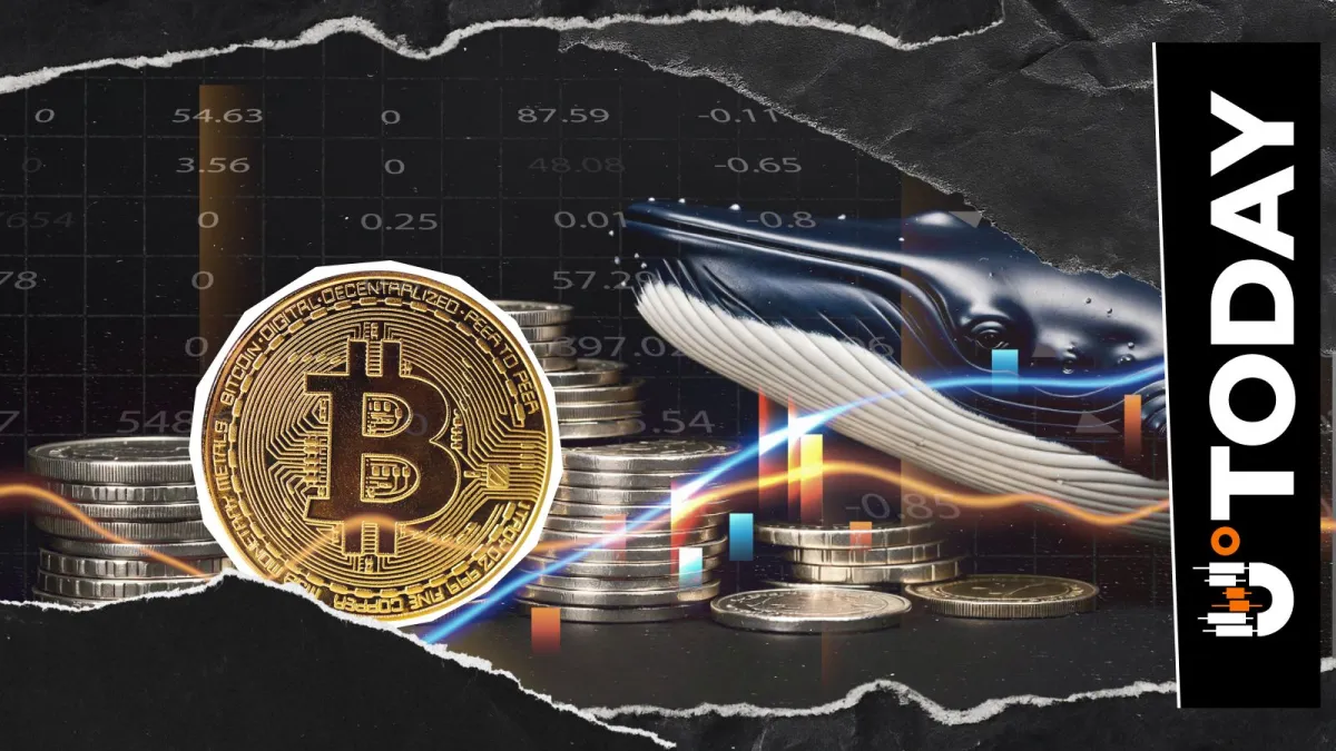 Notorious Bitcoin Whale Opens Mega $30,065,443 XRP Long: Details