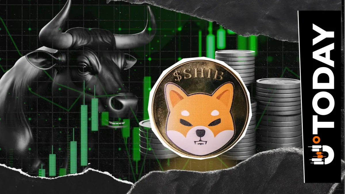 SHIB Eyes Liquidity Crunch Amid 910% Surge in Deflationary Metric