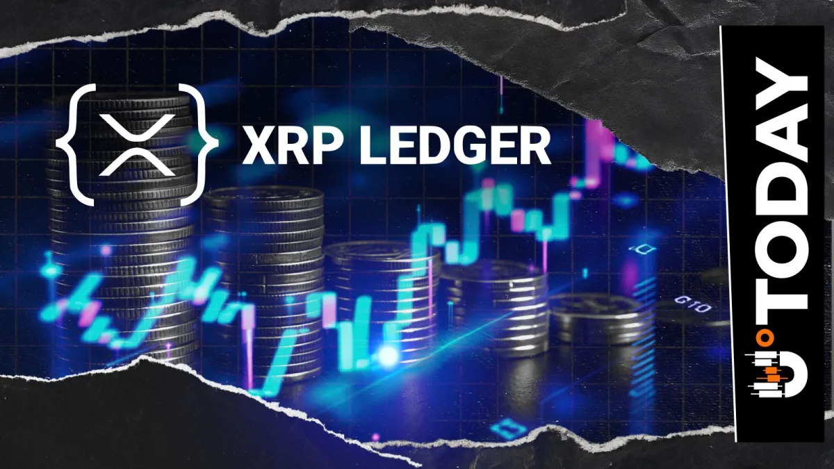 XRP Ledger COO Mentions Key Focus for Network Sustainability: Details