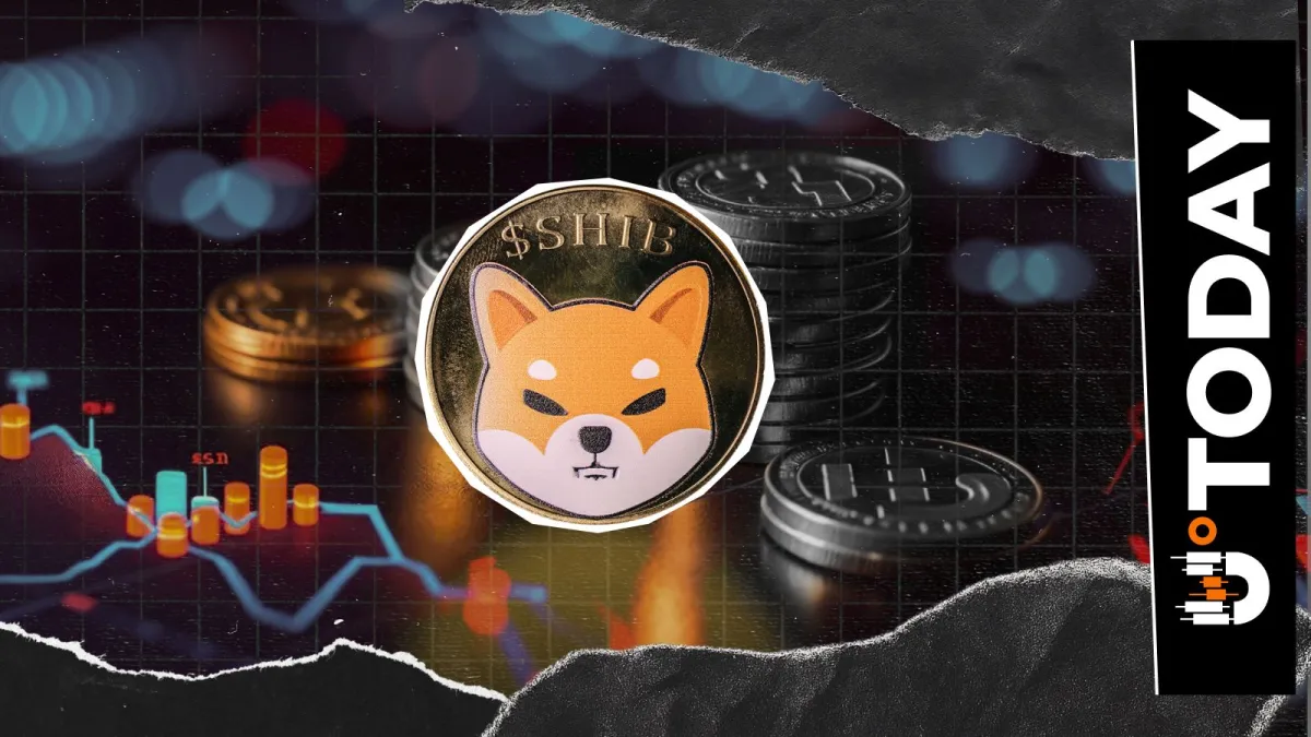 -606,000,000 Shiba Inu (SHIB) in Best Metric Possible: Is It Biggest Signal for Now?