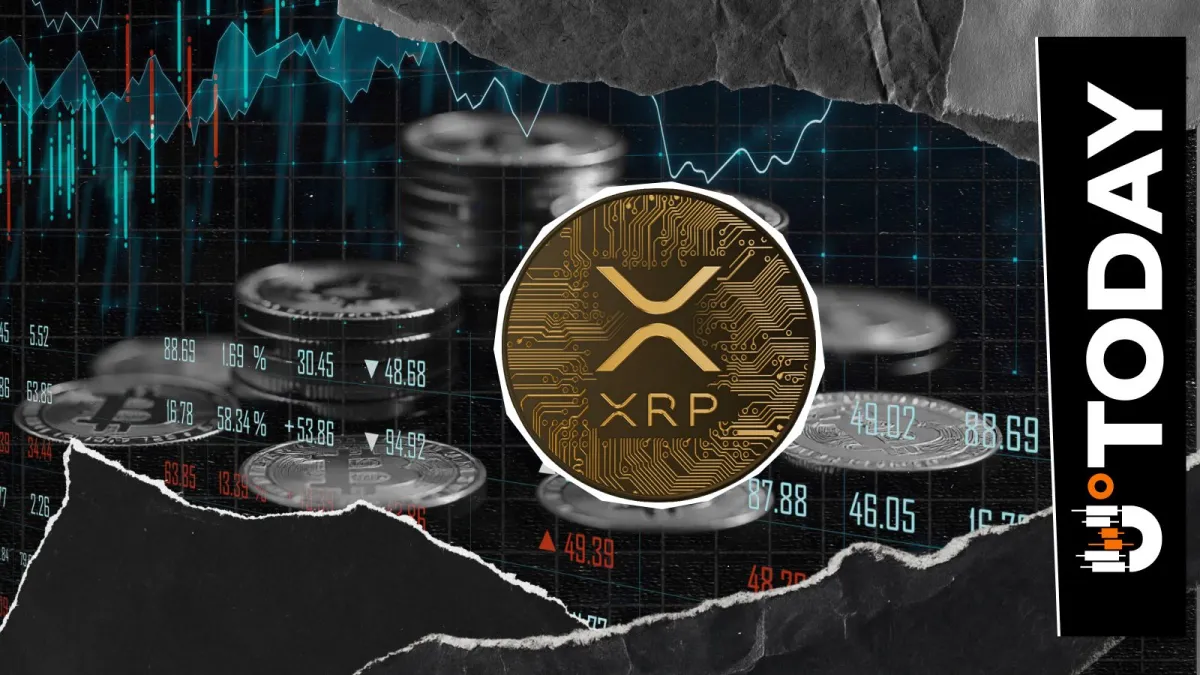 XRP Payments Spike to 1.346 Million in 24 Hours: Rally Not Stopping