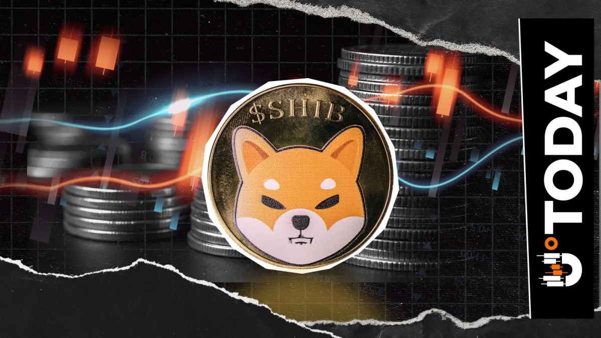 Shiba Inu (SHIB) Zero Suddenly Removed After 56 Days of Pain, But There's a Problem
