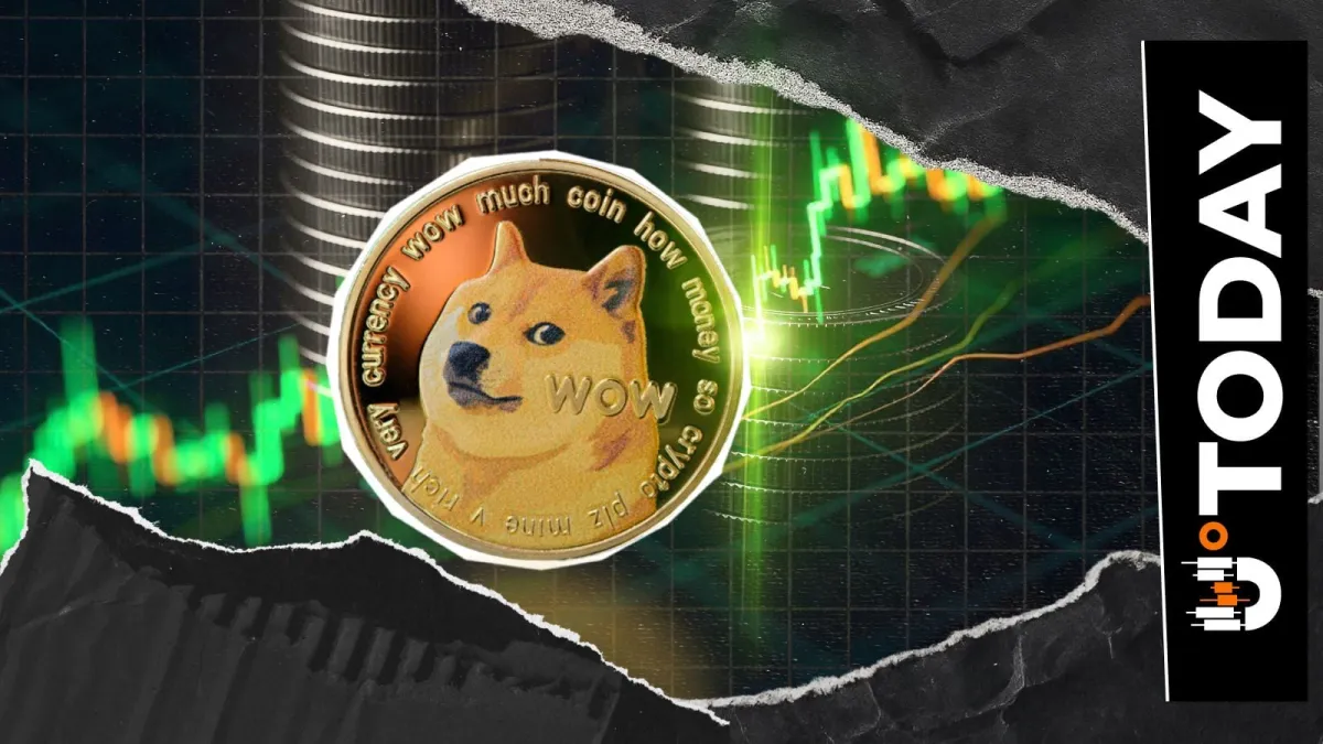 $65 Million in Dogecoin Moves Amid First Major 2026 Dip