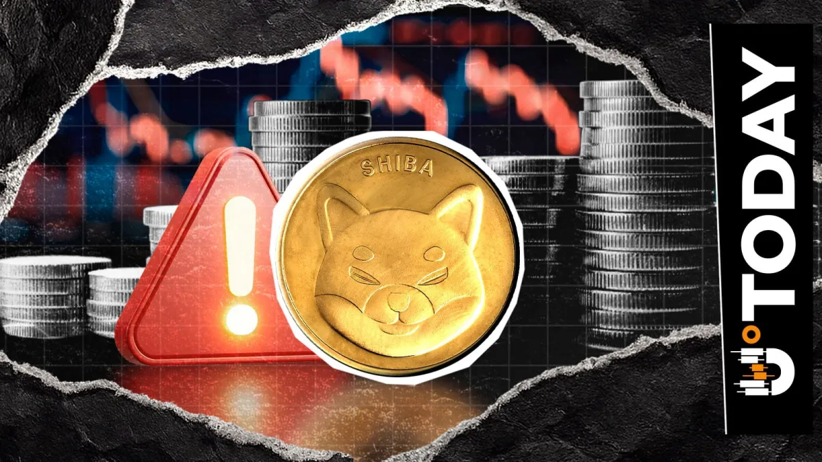 Crucial Shiba Inu Warning Issued as New Scam Emerges