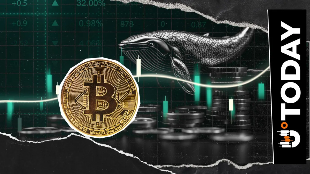 $2.76 Billion in Bitcoin Purchased in Mere Days: What Are Whales Up To?