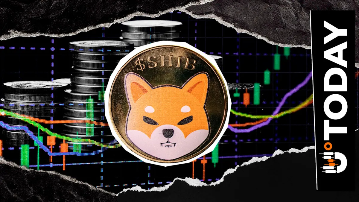 Shiba Inu (SHIB) Price Alert: Bulls Lose Control as Popular Indicator Signals 14% Drop
