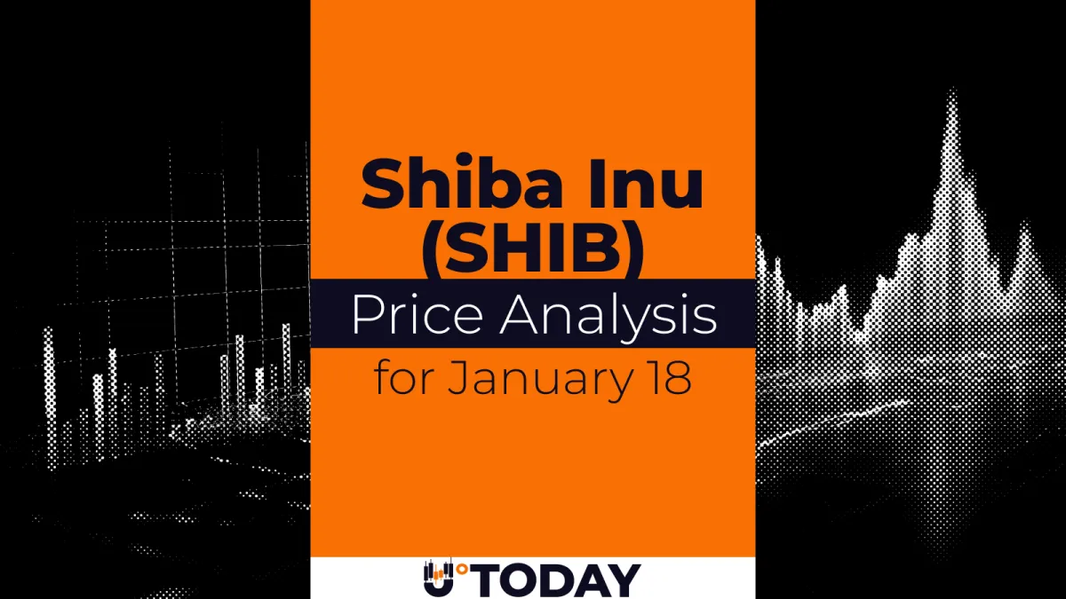SHIB Price Analysis for January 18