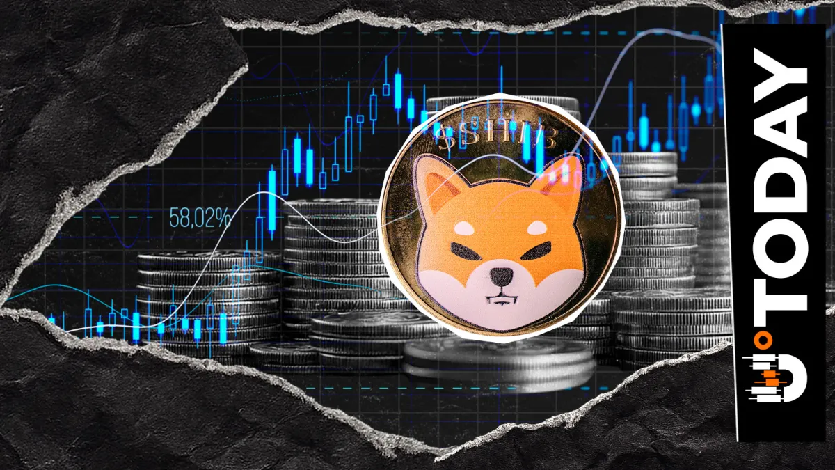 283,000,000,000 SHIB in 24 Hours: Shiba Inu Getting Siphoned