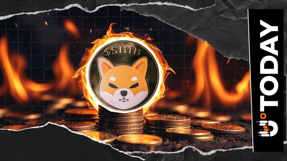 0 Shiba Inu in 24 Hours, SHIB Burn Rate Crashes 100%