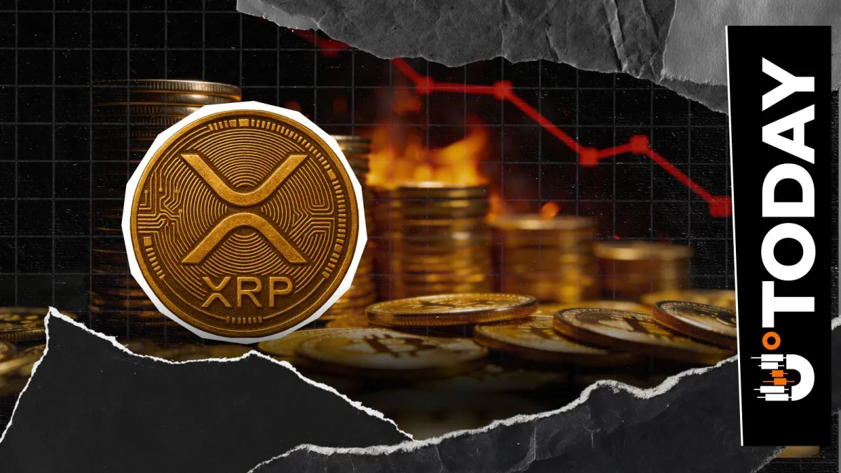 XRP Network Activity Declines as Burn Rate Falls 75%