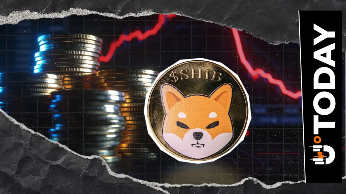 Shiba Inu Futures Traders Turn Bearish as OI Falls 8%