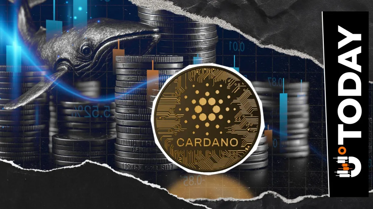 130 Million ADA Sold by Cardano Whales in Past Week, Analyst Reports