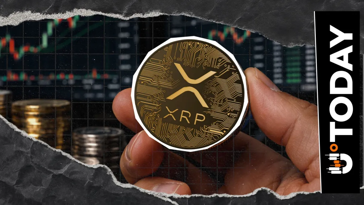 'XRP Was Designed for More': Evernorth Targets 'Trillions' in Global Banks Using XRP Ledger