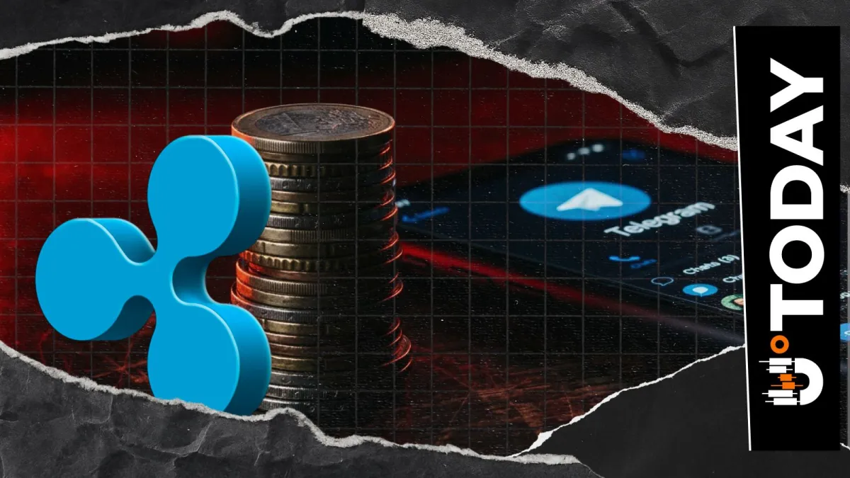Ripple Clarifies: No Official Telegram as Scam Accounts Rise