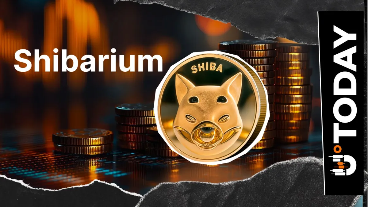 Shiba Inu: Shibarium Transactions Plunge 88%, What's Behind It?