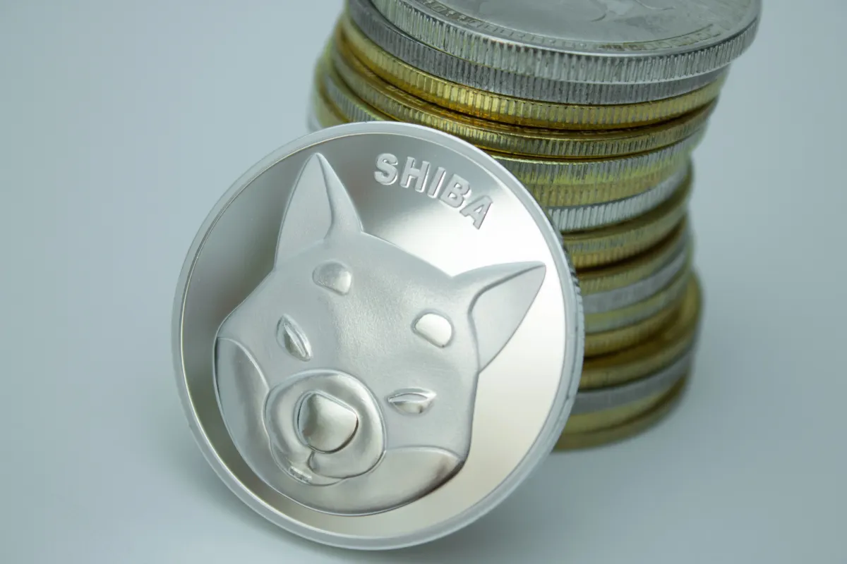 Shiba Inu (SHIB) on the Verge of Breaking 81 Trillion Threshold