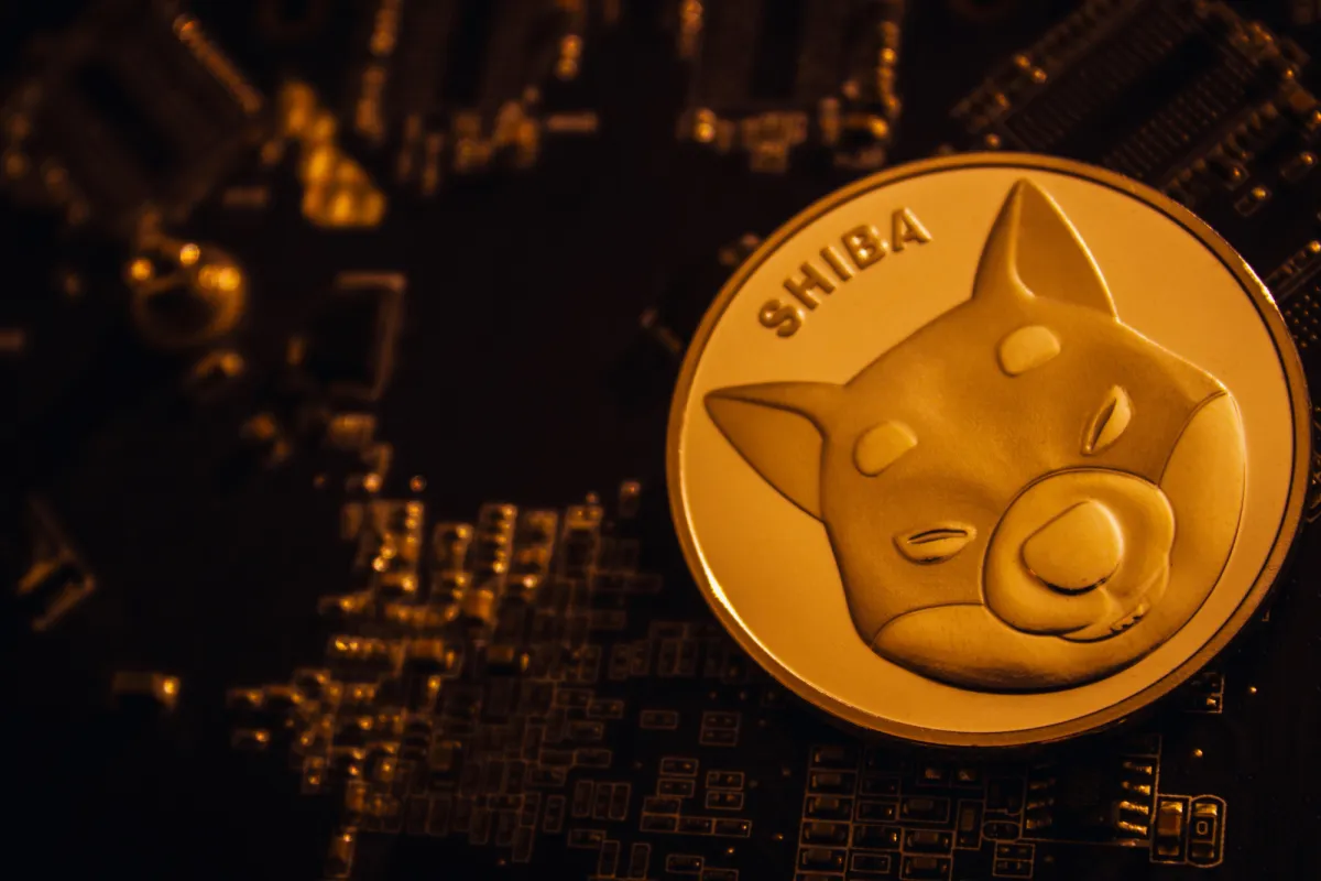 Shiba Inu's (SHIB) -1,813% Spot Flow Loss Is Not What You Think It Is