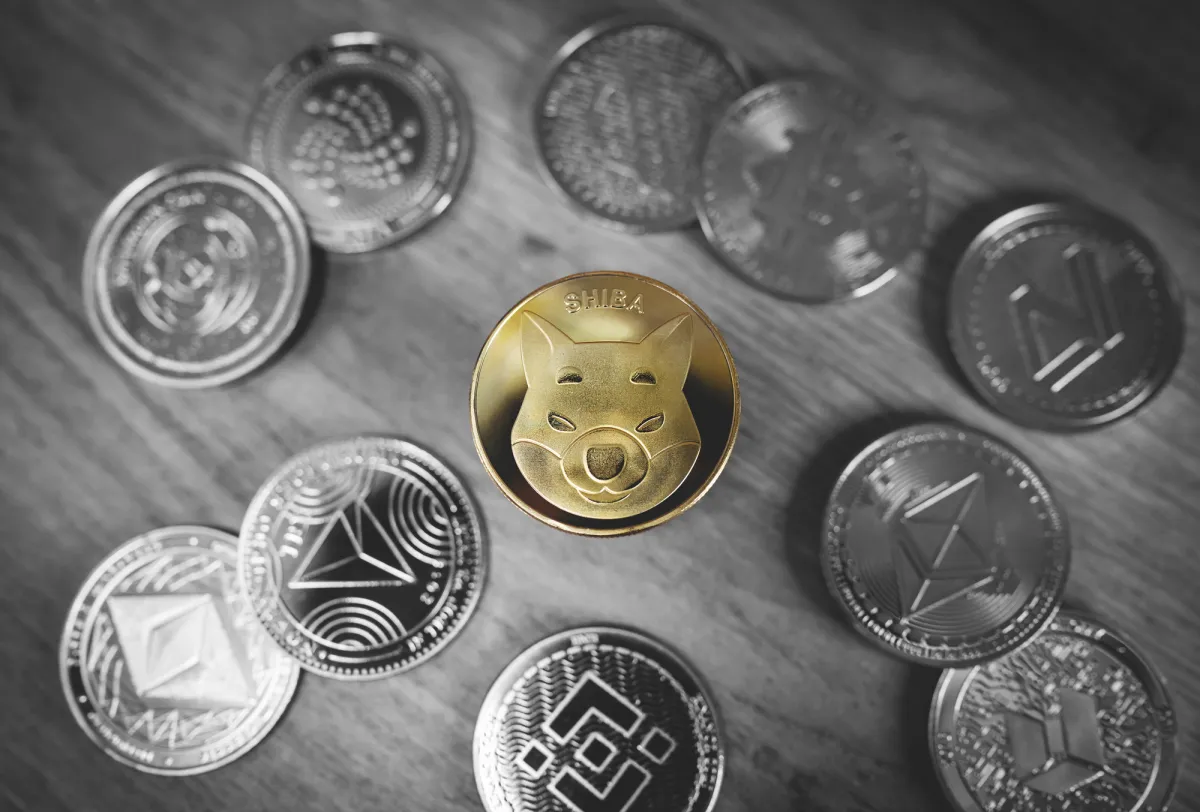 -45 Billion Shiba Inu (SHIB) From Exchanges in 24 Hours Reaffirms Bullish Potential