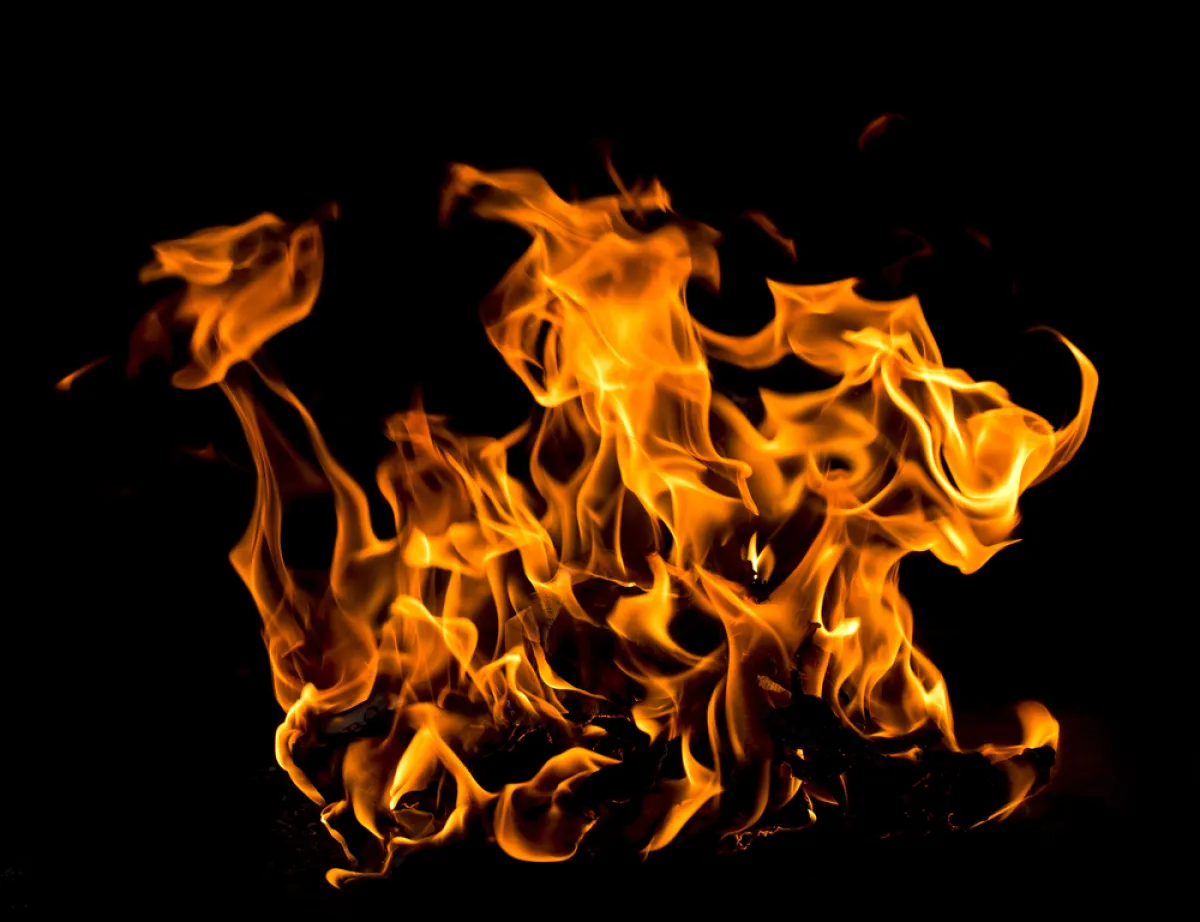 Ripple Burns Nearly 180 Million RLUSD in Mere Hours