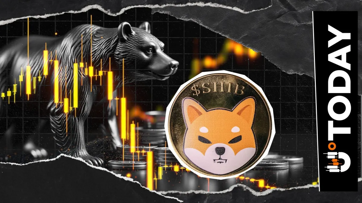 Shiba Inu Bears Activated as Netflow Tops 350 Billion SHIB