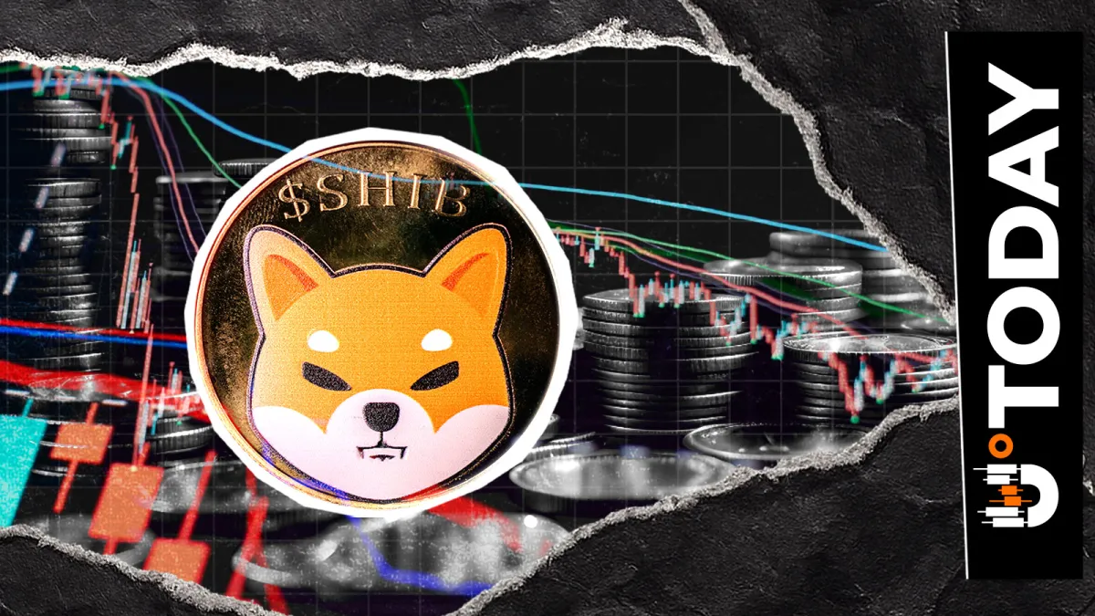 Binance Top Traders Come to Equilibrium on Shiba Inu (SHIB)