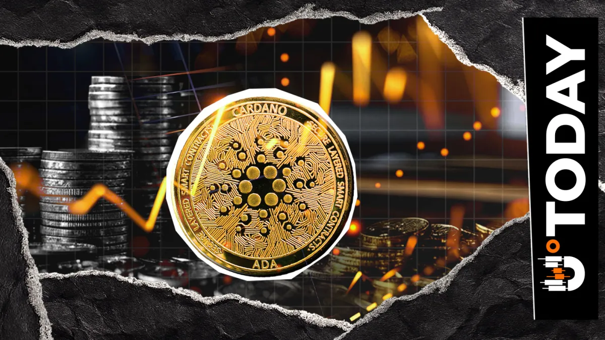 Cardano Liquidation Imbalance Hits 6,127% as ADA Exits Top 10 Crypto List