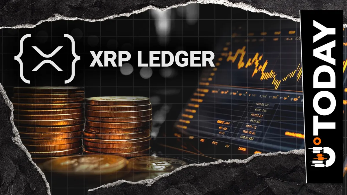 'No One Controls XRPL' Validator Highlights Why Decentralization Matters