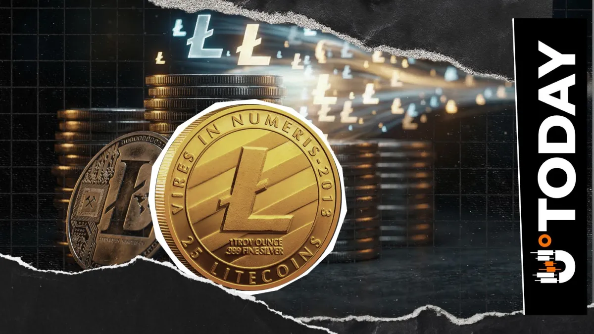 Litecoin Publishes Full Zero-Day Report: The Truth Behind the 85,000 'Fake' LTC and the Secret Hacker Deal
