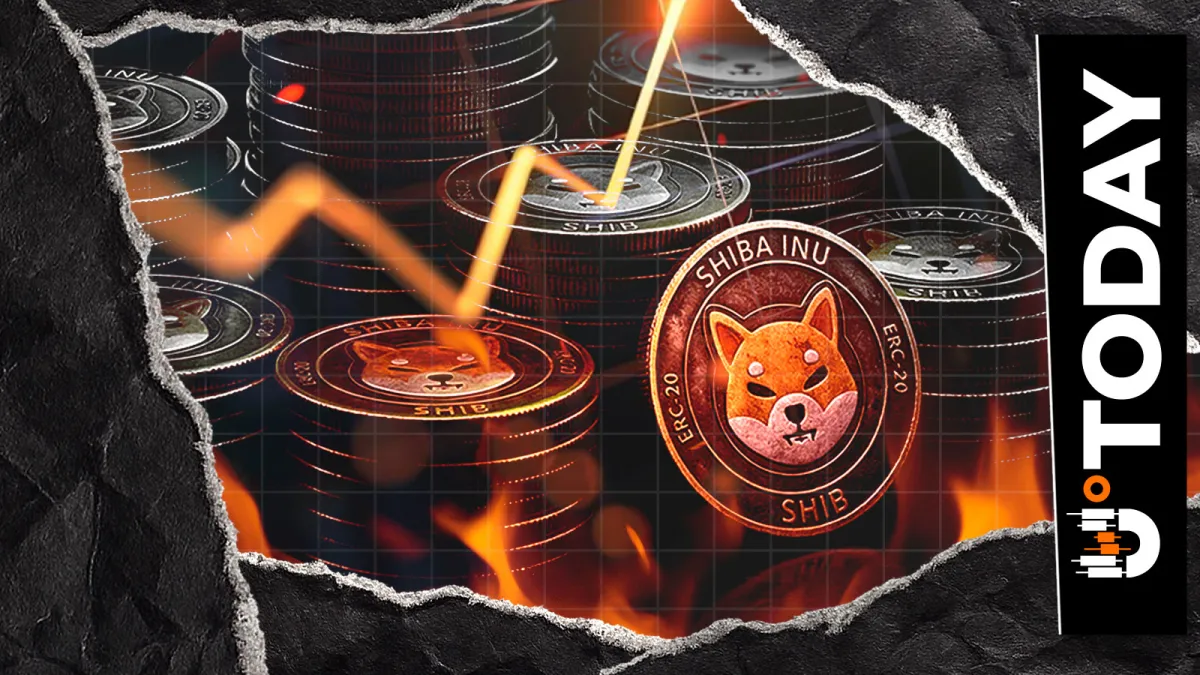Top 24-Hour SHIB Burners' List Revealed; Some Names May Surprise You