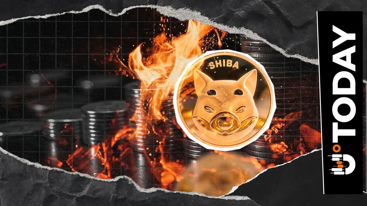 19,513,946 SHIB Destroyed, Shiba Inu Burn Rate Responds With 159% Spike