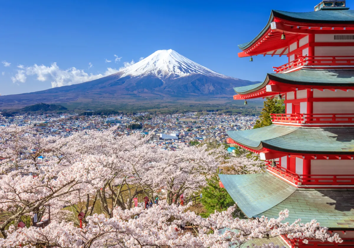 Free XRP Airdrop Announced for Tokyo Investment Seminar