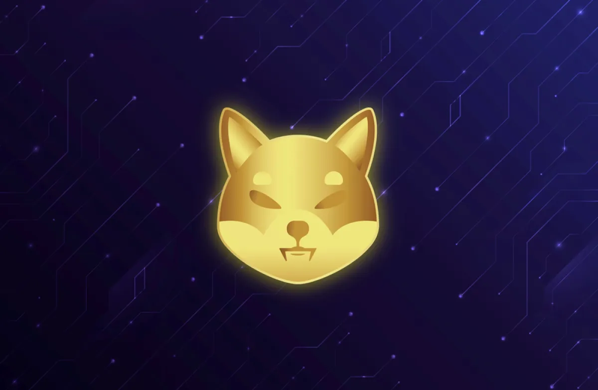 Shiba Inu (SHIB) Records 33.77% Exchange Withdrawal Spike: Accumulation Trend Emerges