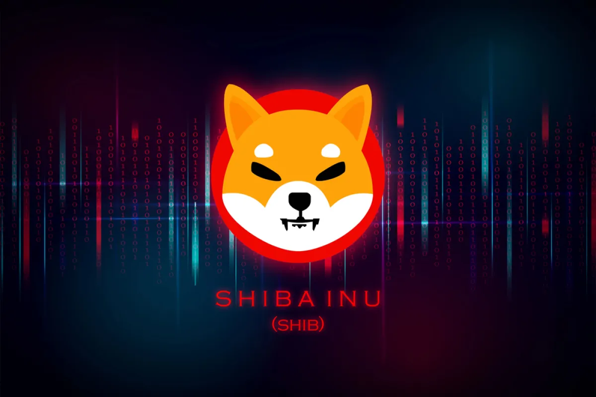 +283% Shiba Inu (SHIB) Spot Flow: Recovery Might Be Closer Than It Seems